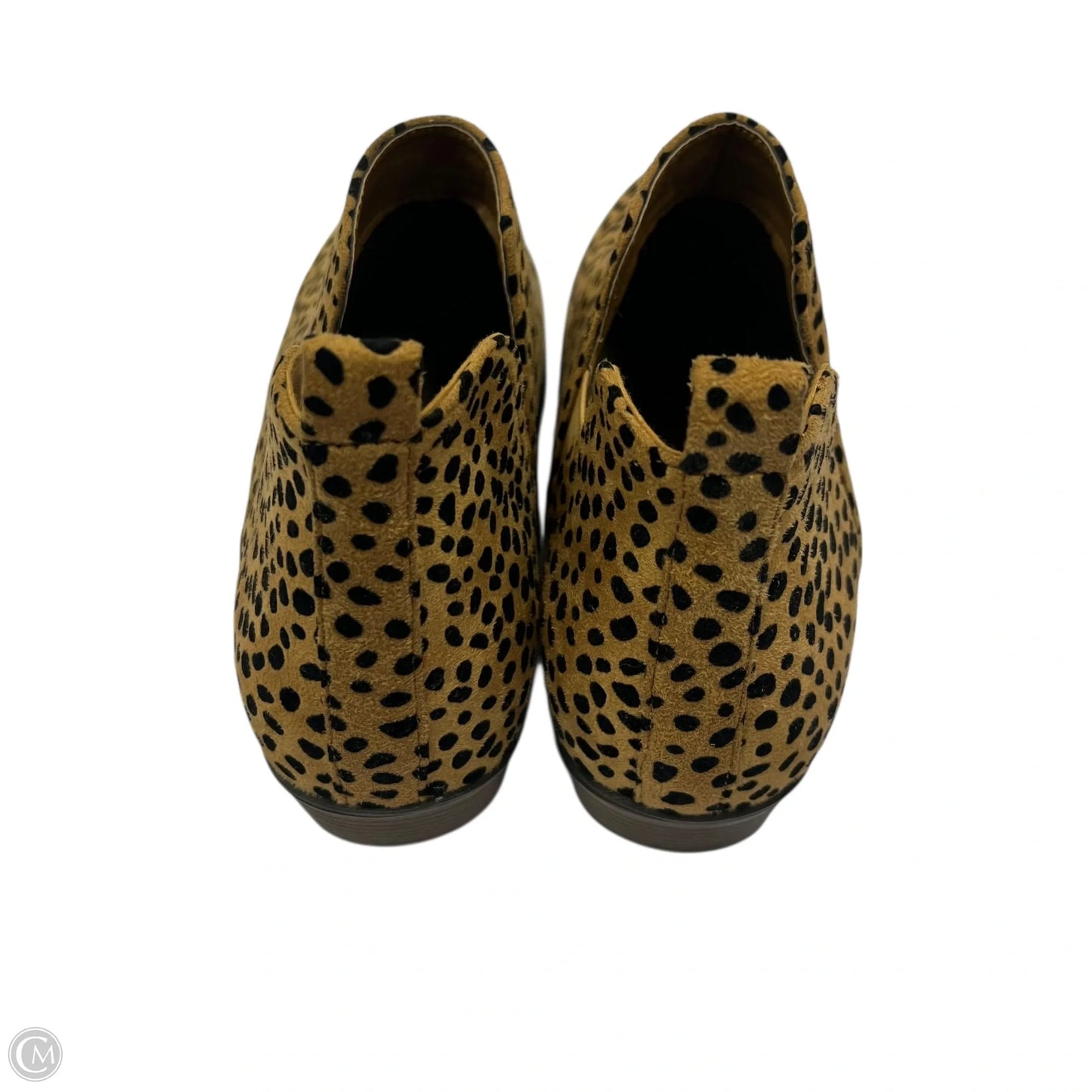 Boots Ankle Heels By Pierre Dumas In Animal Print, Size: 10