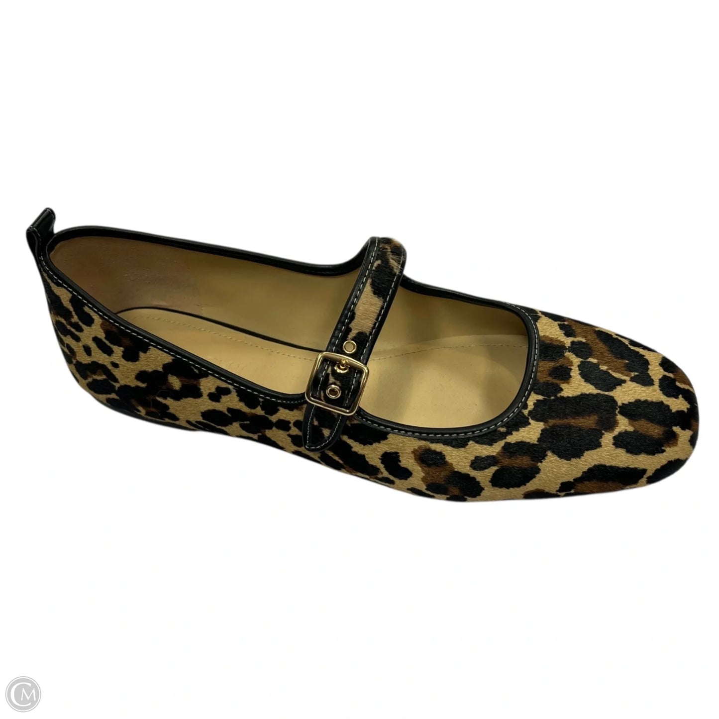 Shoes Designer By Coach In Animal Print, Size: 10