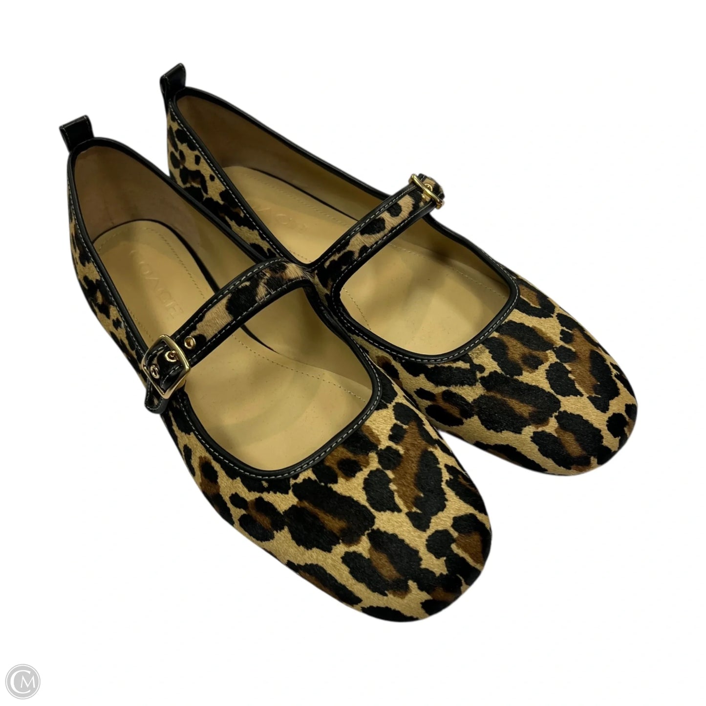 Shoes Designer By Coach In Animal Print, Size: 10
