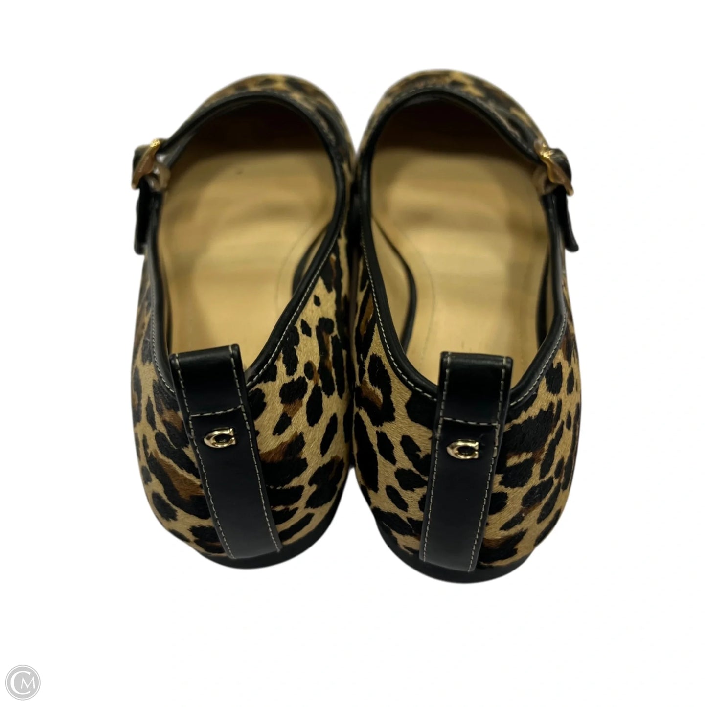 Shoes Designer By Coach In Animal Print, Size: 10