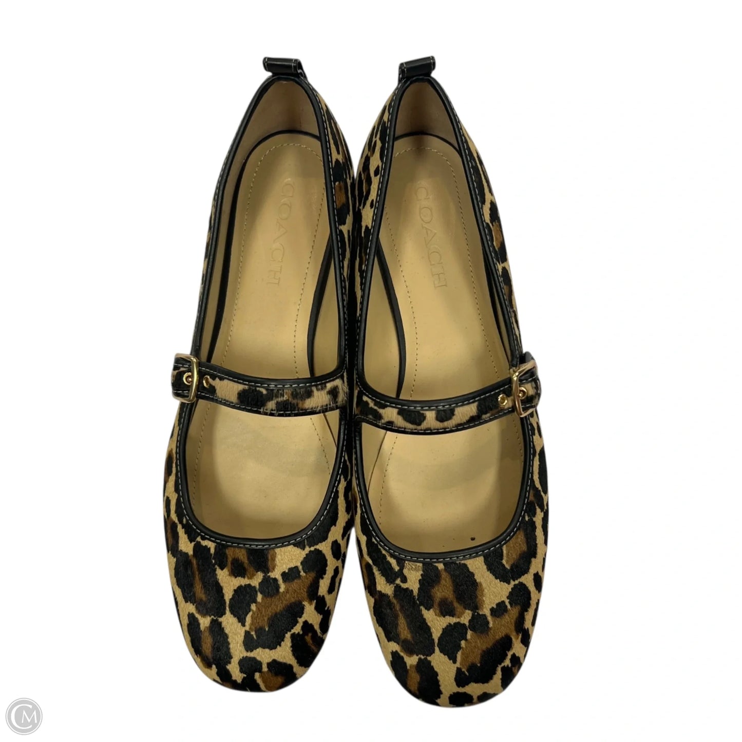 Shoes Designer By Coach In Animal Print, Size: 10