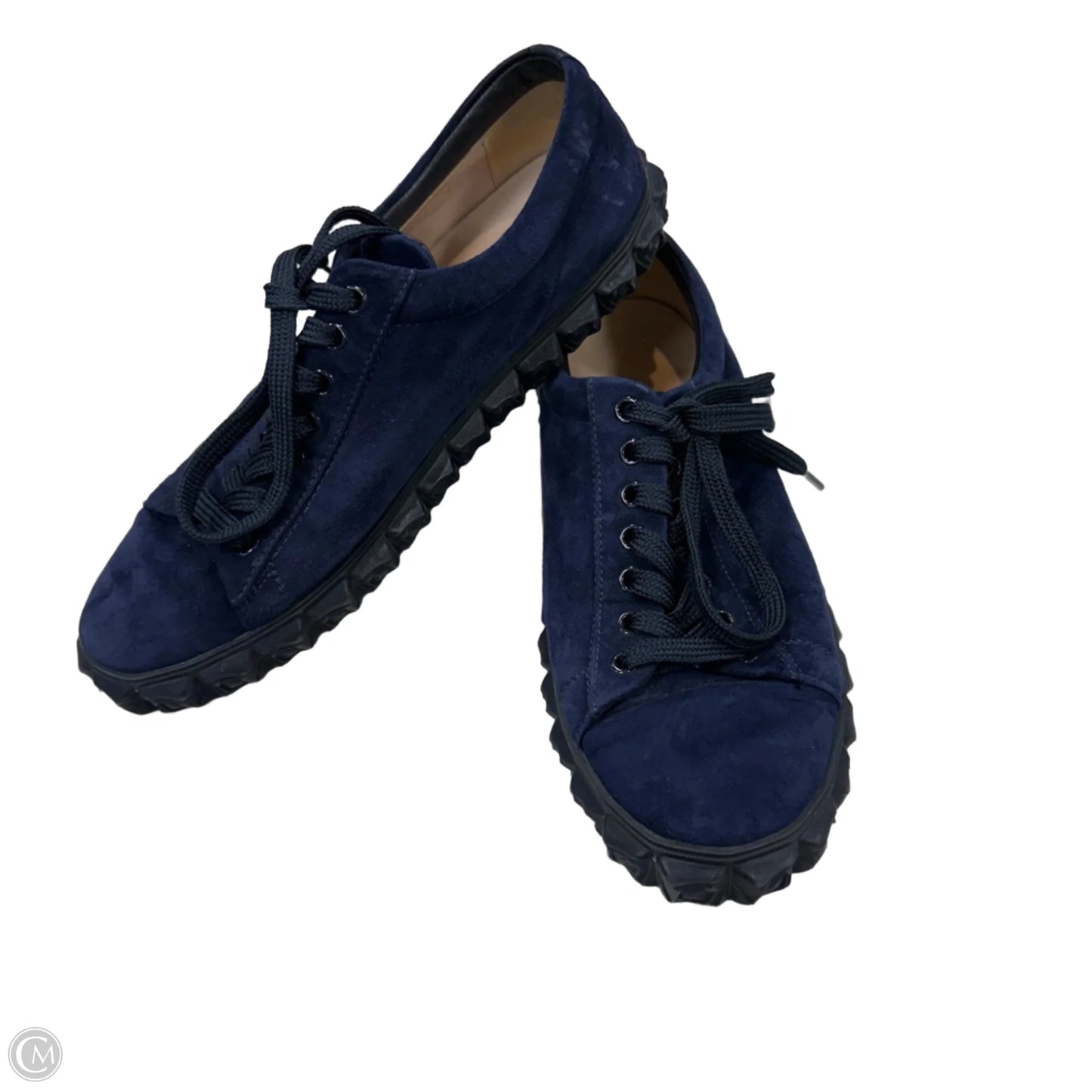 Shoes Designer By Stuart Weitzman In Blue, Size: 9