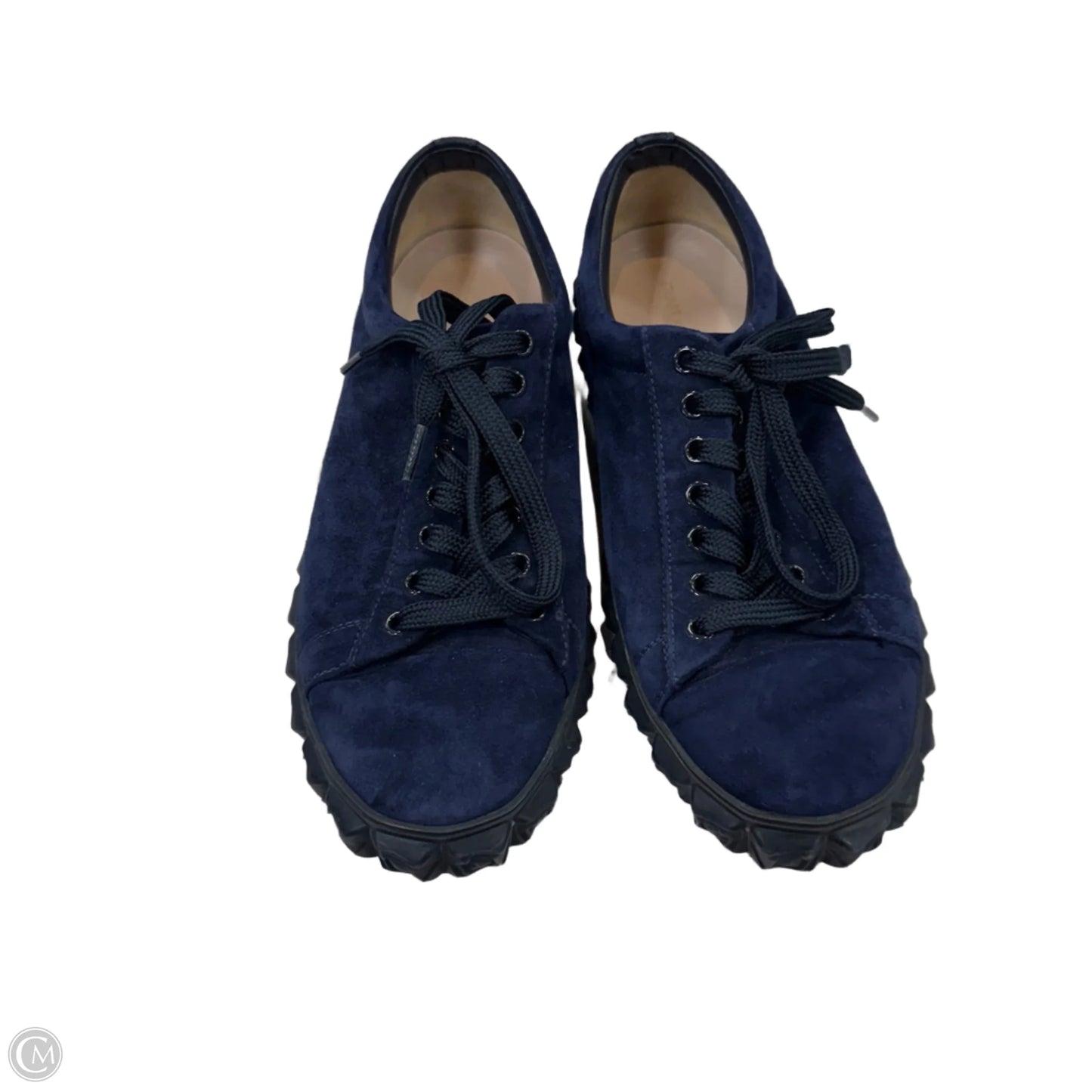 Shoes Designer By Stuart Weitzman In Blue, Size: 9