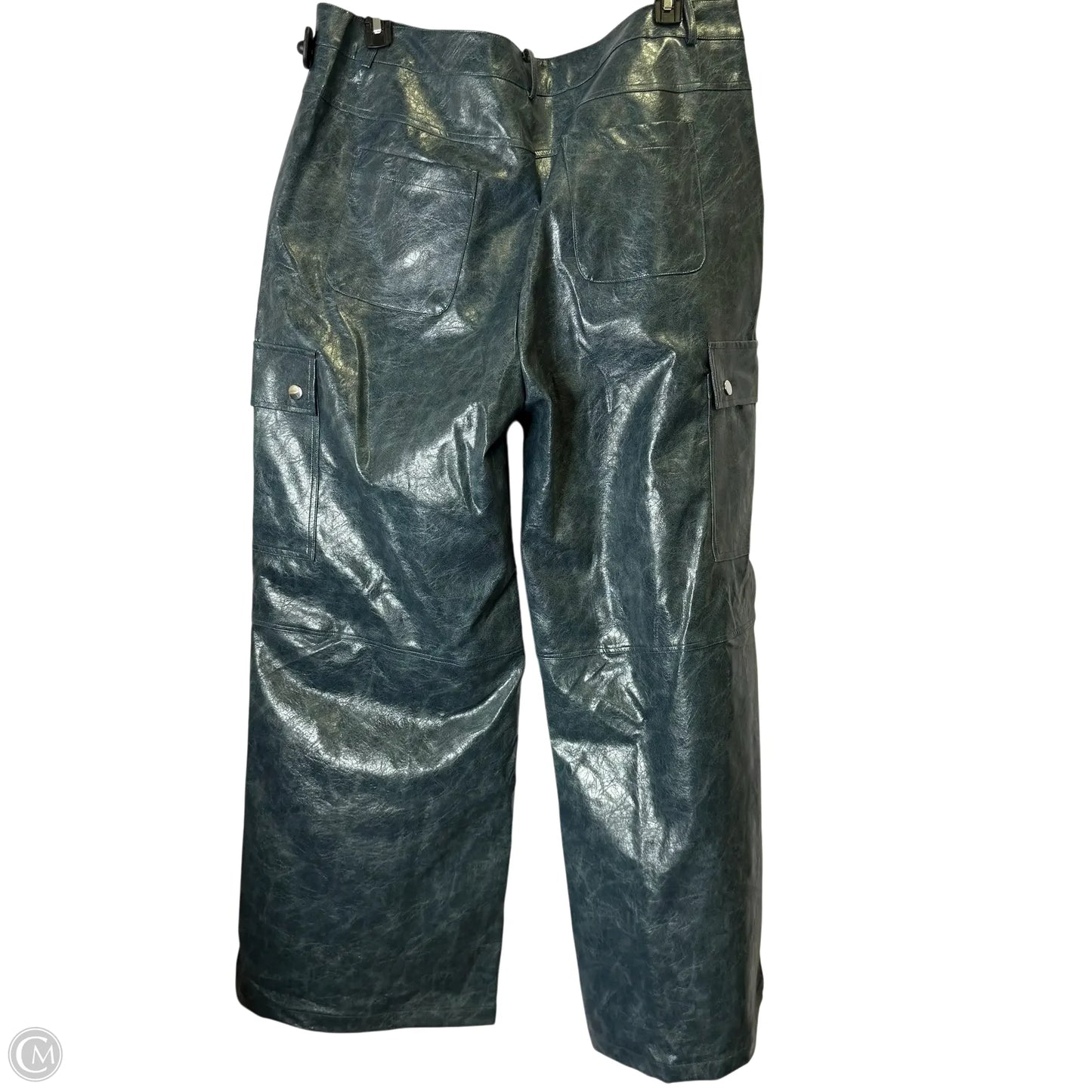 Pants Cargo & Utility By Fashion Nova In Blue, Size: 2x