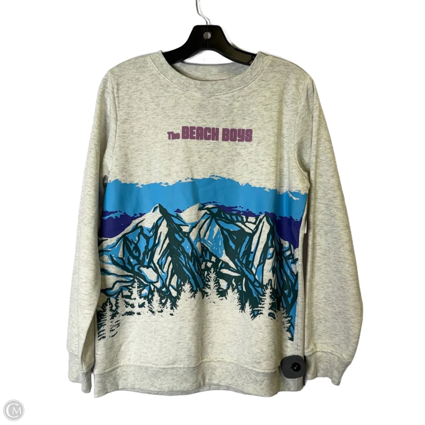 Sweatshirt Crewneck By Clothes Mentor In Grey, Size: M