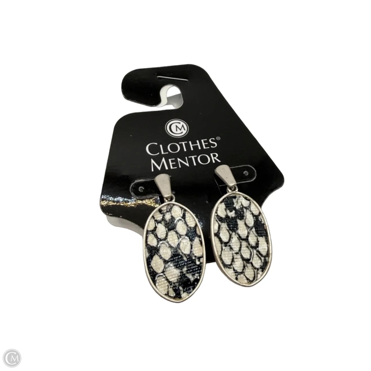 Earrings Dangle/drop By Clothes Mentor