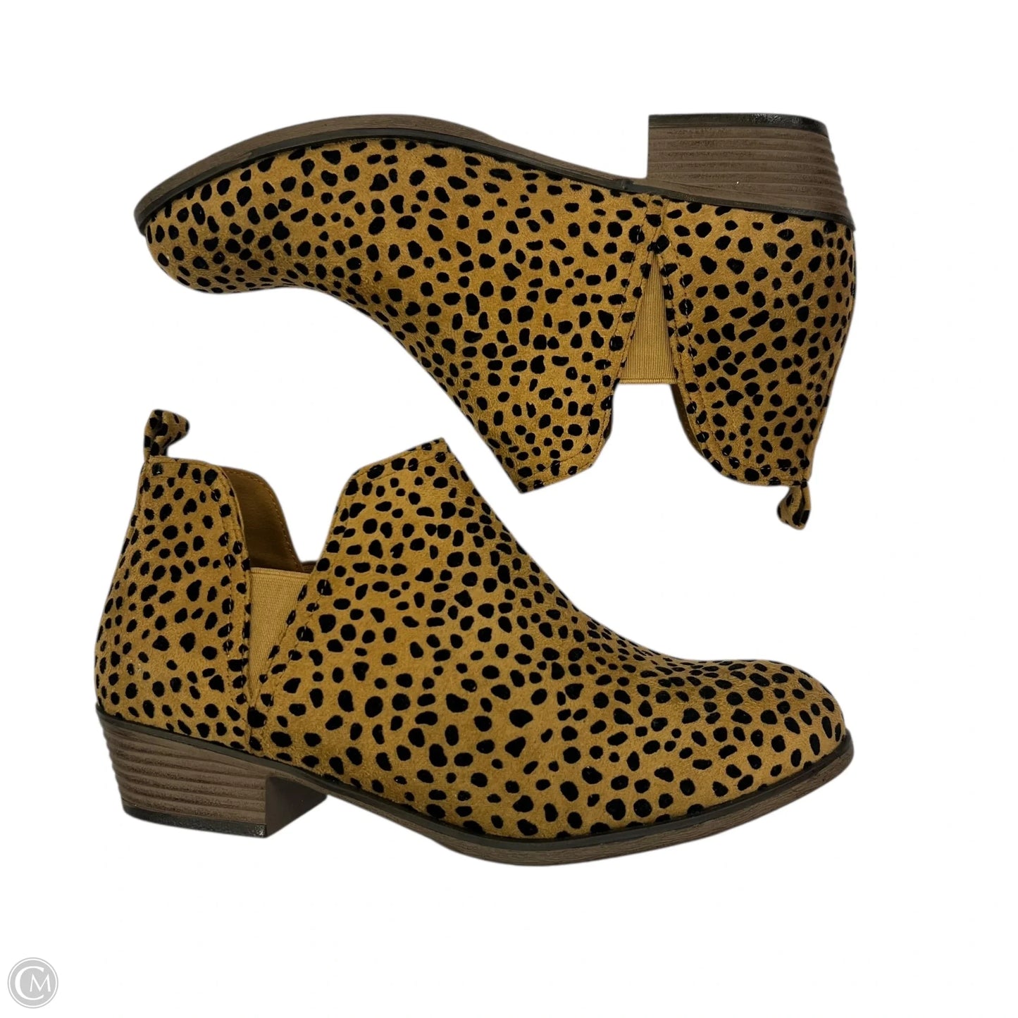 Boots Ankle Heels By Pierre Dumas In Animal Print, Size: 10