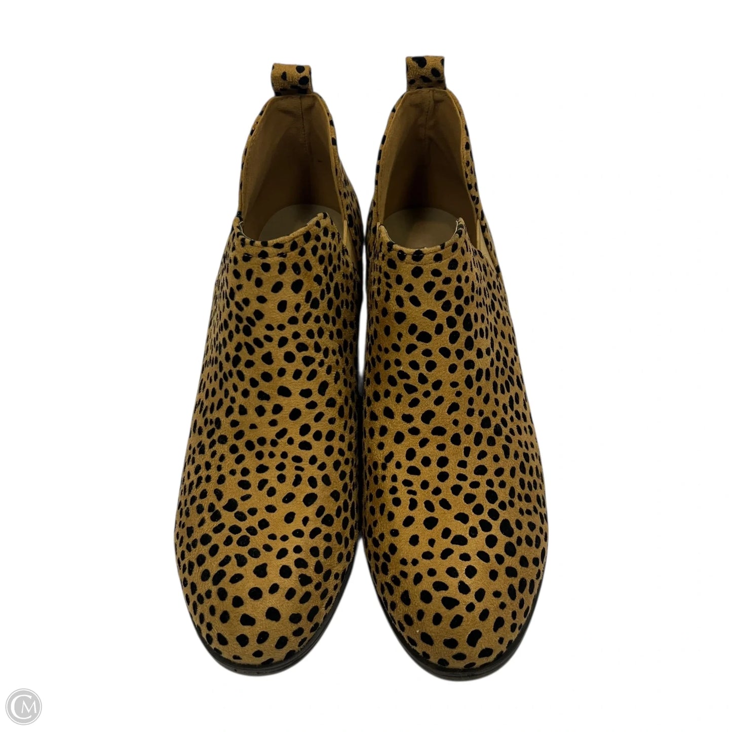 Boots Ankle Heels By Pierre Dumas In Animal Print, Size: 10
