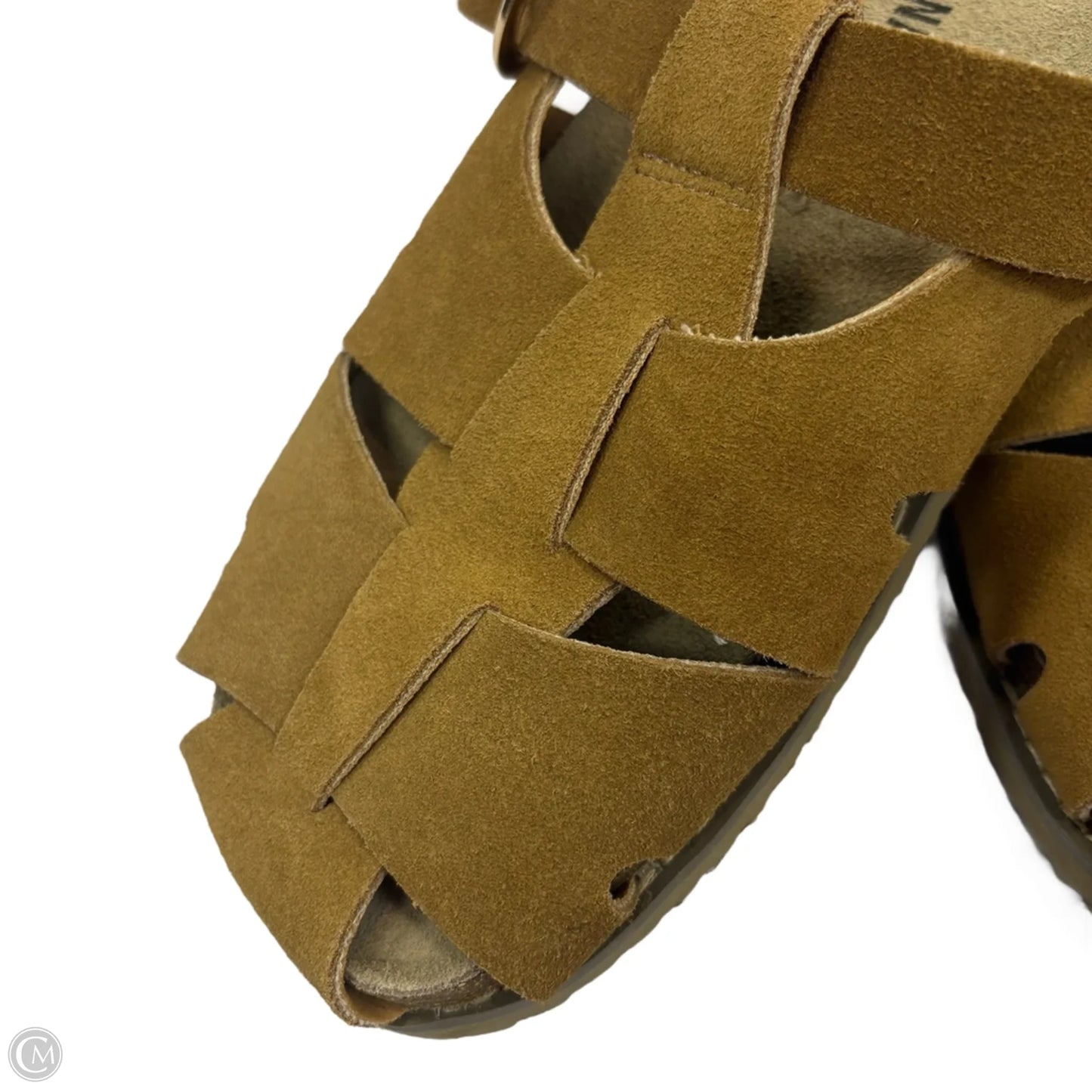 Shoes Flats By Cushionaire In Brown, Size: 8.5