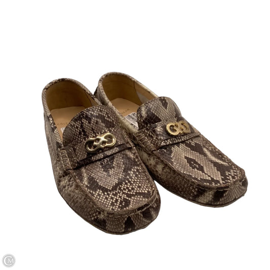 Shoes Flats By Cole-haan In Snakeskin Print, Size: 6