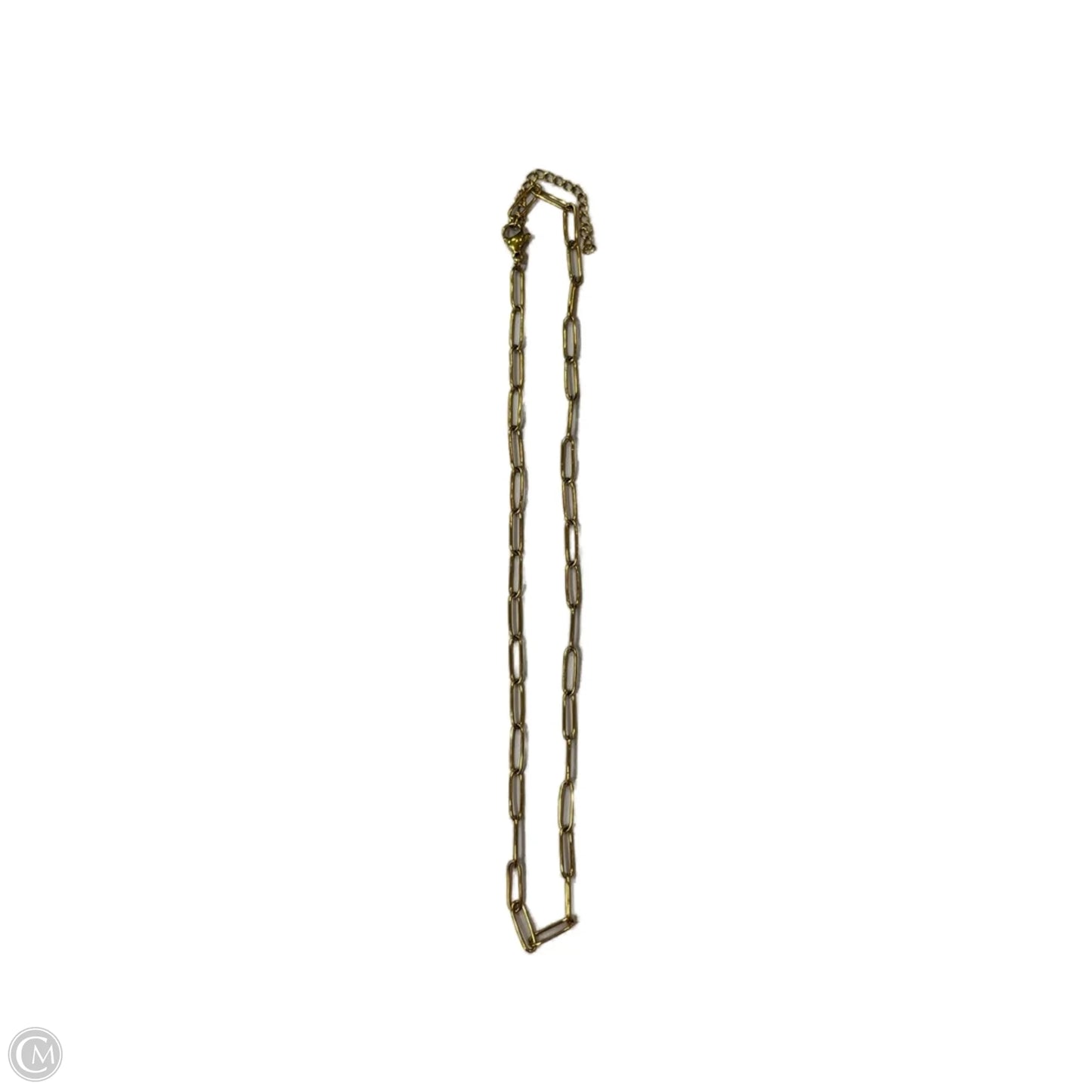 Necklace Chain By Clothes Mentor