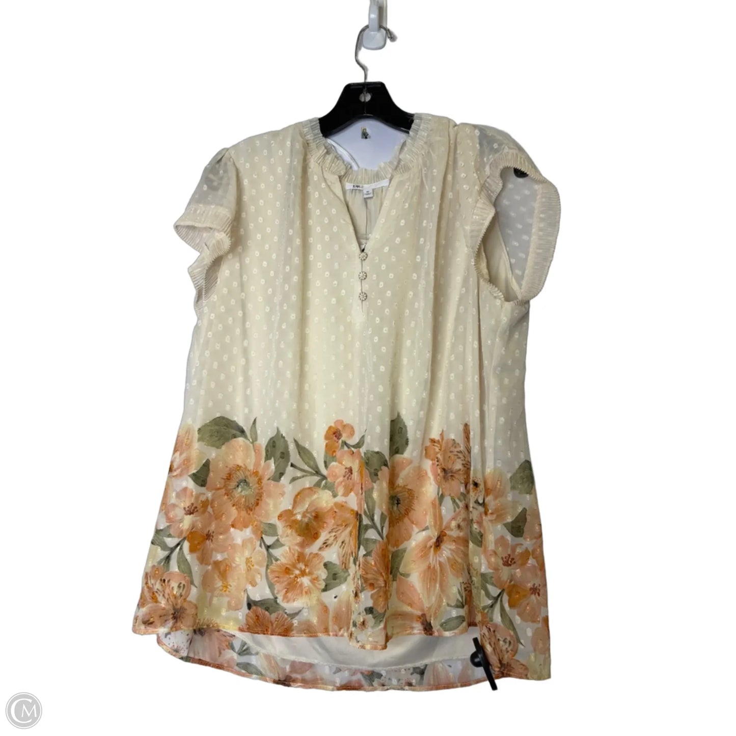 Blouse Sleeveless By Dr2 In Cream, Size: Xl