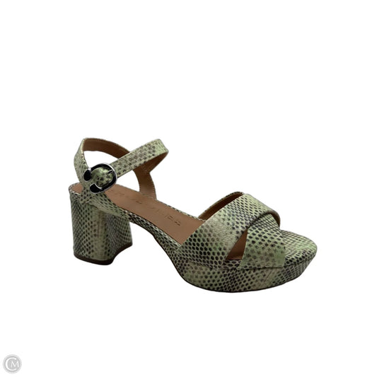 Shoes Heels Block By Aerosoles In Snakeskin Print, Size: 8.5