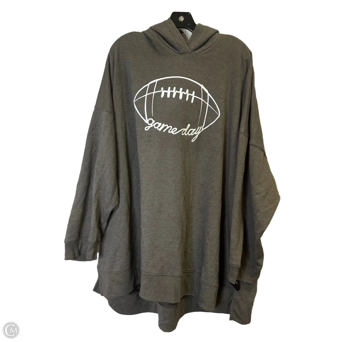 Sweatshirt Hoodie By Lane Bryant In Grey