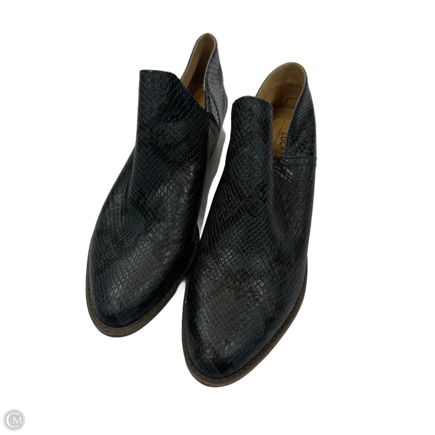 Boots Ankle Heels By Lucky Brand In Blue, Size: 10