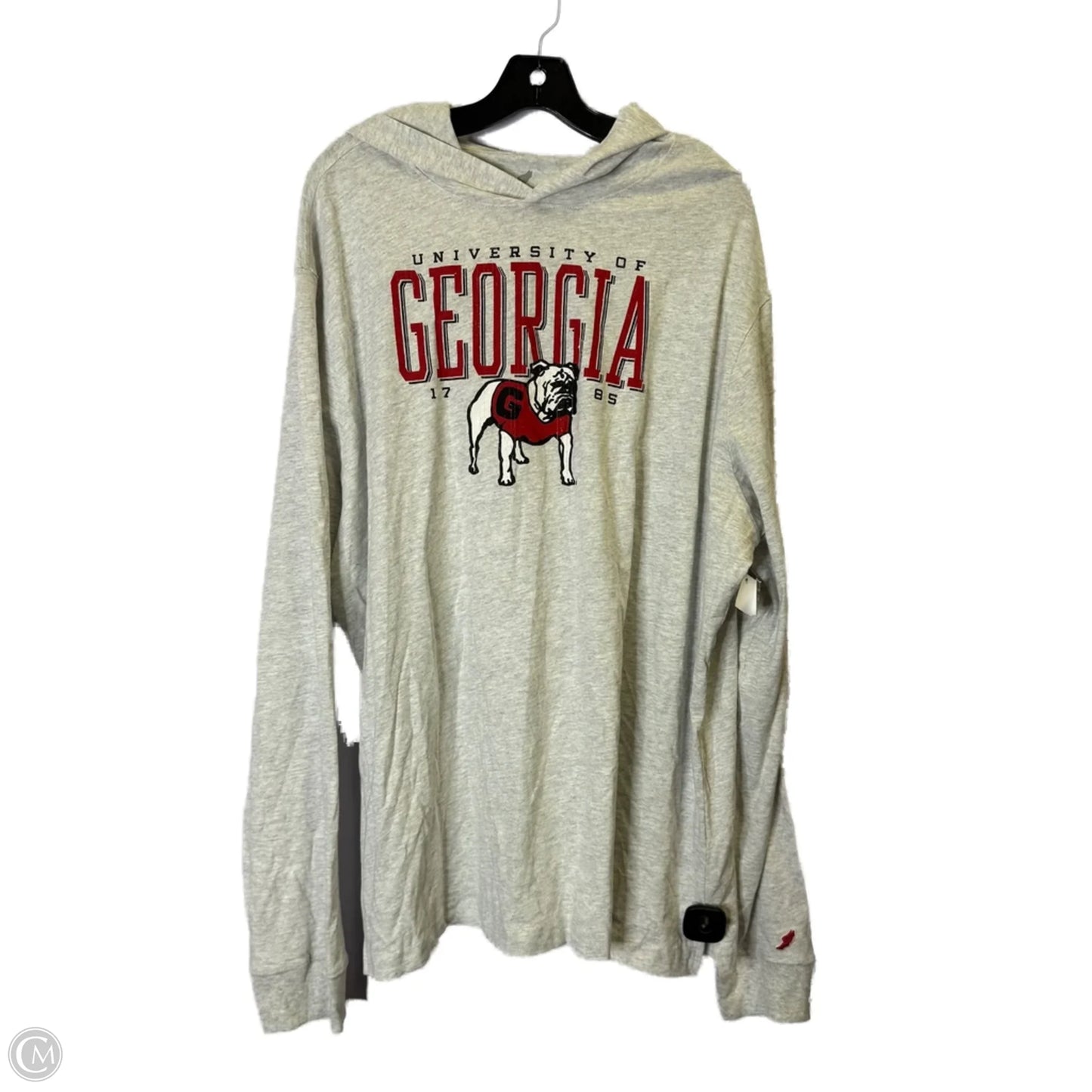 Sweatshirt Hoodie By Clothes Mentor In Grey, Size: 2x