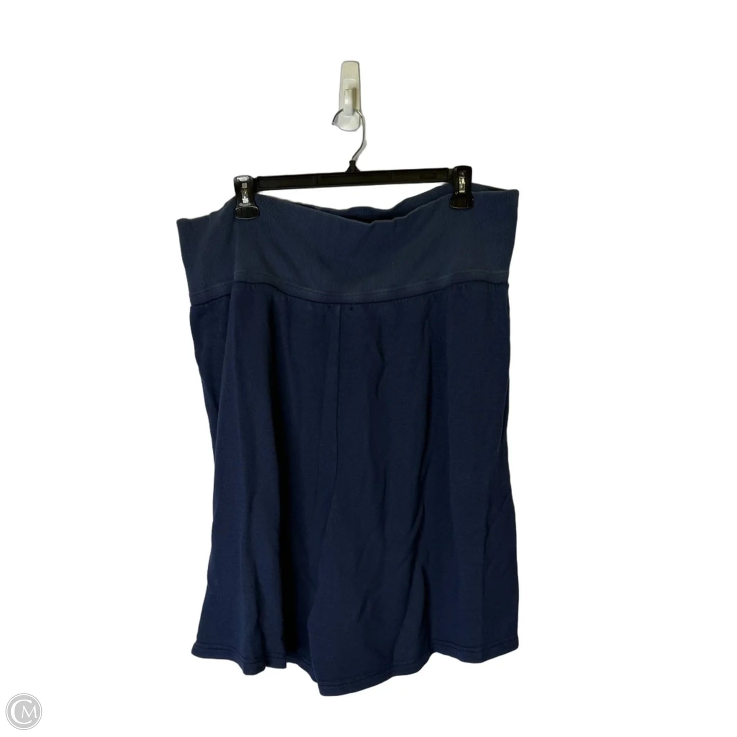Athletic Shorts By Offline By Aerie In Blue, Size: Xxl