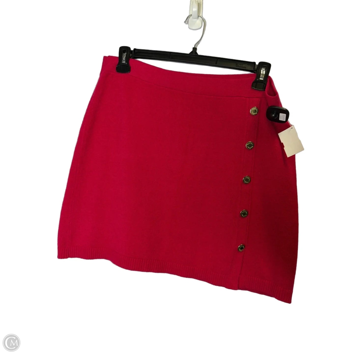 Skirt Mini & Short By Cmb In Pink, Size: Xl
