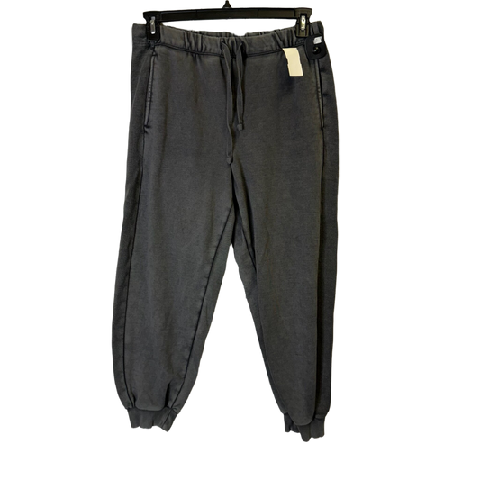 Pants Joggers By Aerie  Size: L