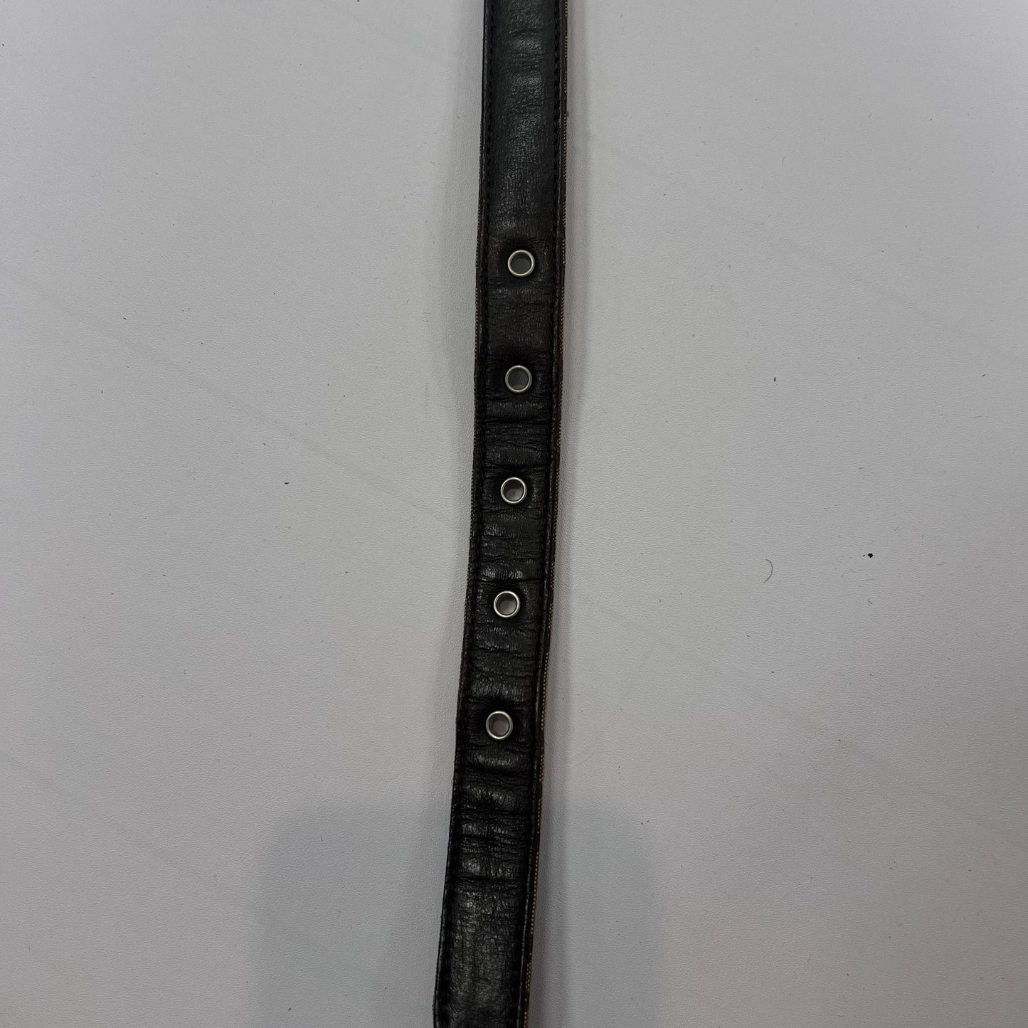 Belt Designer By Coach, Size: Medium